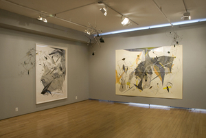 Tegeder_2009web_installation_01_gallery_rear