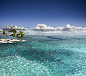 Paradise_final