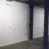 Flypaper-view-3-_-triskel
