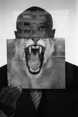 Lionman