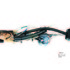 Fish_5_copy