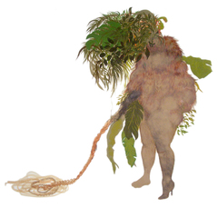 02_baez_firelei_ciguapa_habilis