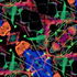 Hni_0081__3_