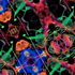 Hni_0082__2_