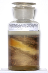 "Specimens" From North America\'s Most Polluted River #4 of 10,Amanda Keller-Konya