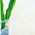 Coneflower_in_jar