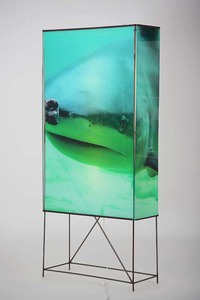 Dpp-0054