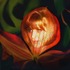 _43_-flower_maiden