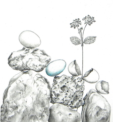Balancing Act,Karen Frimkess Wolff