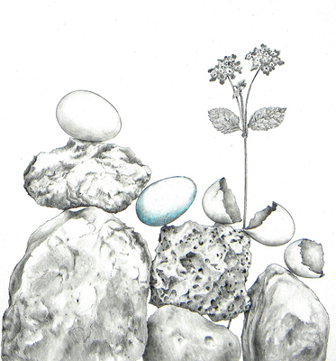 Wolff_image