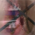 Limehouse-cut4