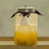 Osmosis_and_desire__cg_4872_