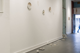 Plate Tectonics,Dana Gentile