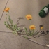 The_2_natures