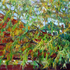 Roofs_with_wilow