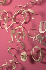 Line Drawing 2010,Janet Neuwalder