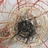 Prairie_smoke_detail