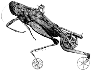 Locust Skater,Nicolas Lampert