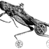 Locust-skater