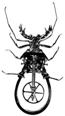 Wheel Bug,Nicolas Lampert