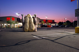 Attention Chicken!,Nicolas Lampert