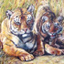 I_-_tigger__