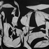 Dance-with-a-stranger_sm