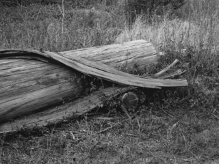 Untitled, from the series Holes and Halos,Paul Shiek