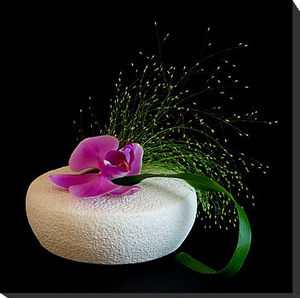 3644663-5-longing-orchid-phalaenopsis