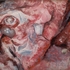 Rubedo_2_otto_farkas_2001
