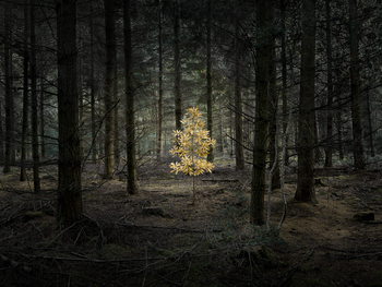 Ellie_davies_smoke_and_mirrors_7