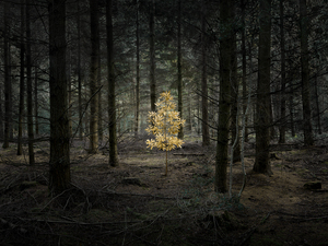 Ellie_davies_smoke_and_mirrors_7