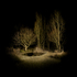 Islands_1