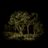 _islands_2_