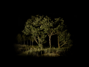 _islands_2_