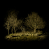 Islands_3