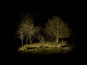 Islands_3