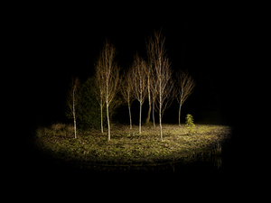 Islands_4