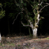 Silent__dark_and_deep_8