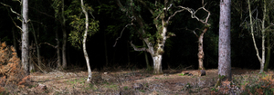 Silent__dark_and_deep_8