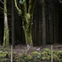 Silent__dark_and_deep_11