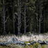 Silent__dark_and_deep_7