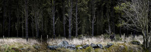 Silent__dark_and_deep_7