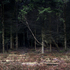 Silent__dark_and_deep_12