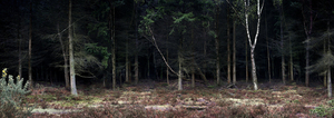 Silent__dark_and_deep_12