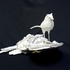 Catbird_72