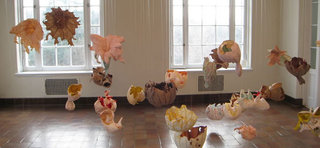 ,Jung Eun Park