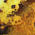 F66_0707_001_04