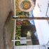 Dscn0707