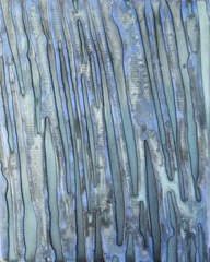 "Equus",ROGER WEIK